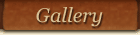 Gallery button